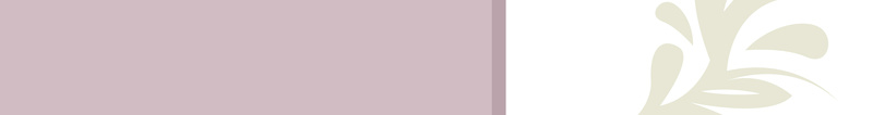 粉紫色蝴蝶花卉纹理海报背景矢量图ai设计背景_88icon https://88icon.com 化妆品 海报素材 白色花纹 粉紫色 紫色 紫色海报 紫色背景 美容背景 花卉 矢量图
