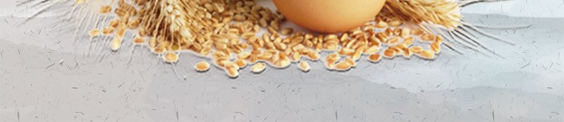 校园文明白色清新食堂挂画节约粮食珍惜海报psd_88icon https://88icon.com 中国风 早餐 校园文明 海报背景 牛奶 珍惜 白色 竹子 节约粮食 食堂挂画 鸡蛋