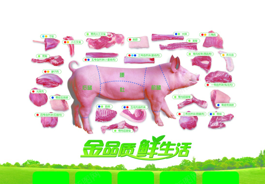 猪肉结构鲜肉海报背景背景