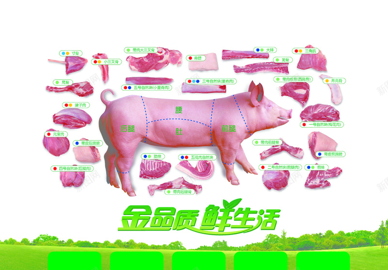 猪肉结构鲜肉海报背景psd设计背景_88icon https://88icon.com 分割图 猪肉 猪肉分类 结构 背景 鲜肉