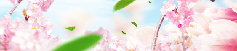 蓝色清新赏花节春季海报psd设计背景_88icon https://88icon.com 春天 春季 春暖花开 春游 桃花 桃花季 花 花海 蓝色 鸟