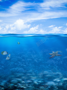 蓝天白云风景海水海面鱼类动物背景背景