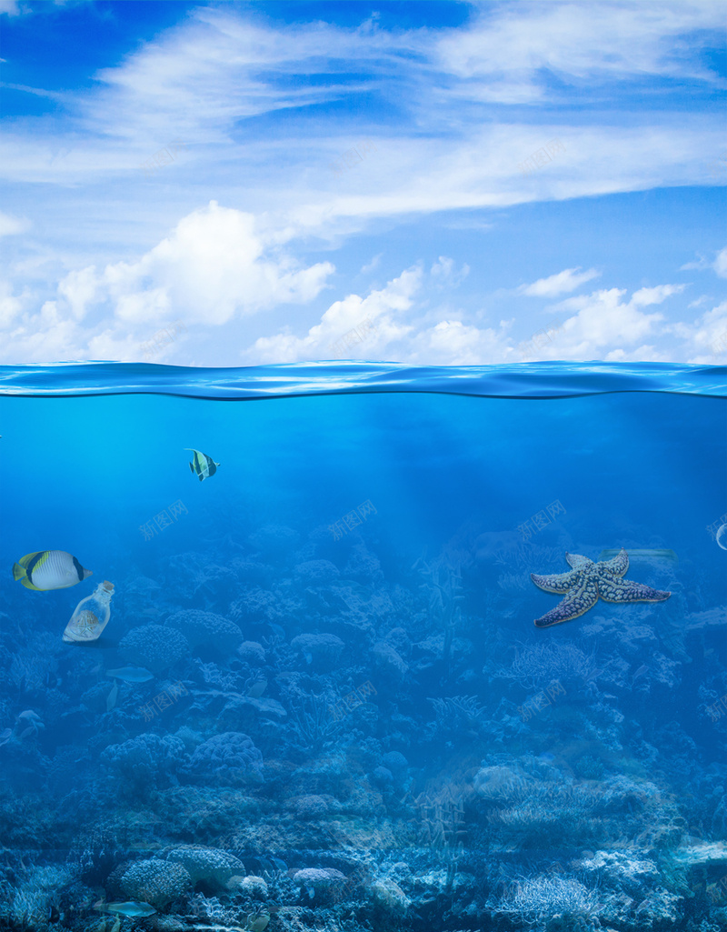 蓝天白云风景海水海面鱼类动物背景psd设计背景_88icon https://88icon.com 动物 海水 海面 白云 素材 背景 蓝天 风景 鱼类