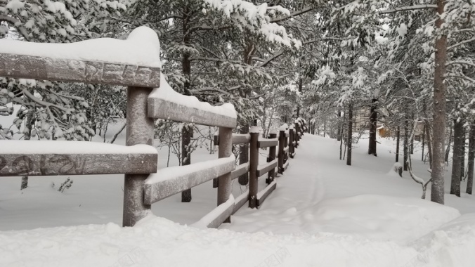 自然风光野外雪景背景