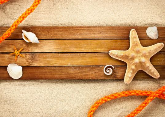 沙滩木板贝壳海星背景