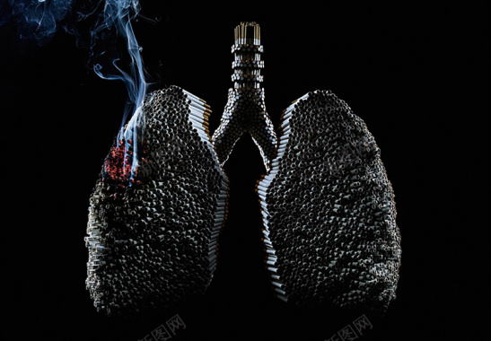 531世界无烟日创意肺与香烟广告背景背景