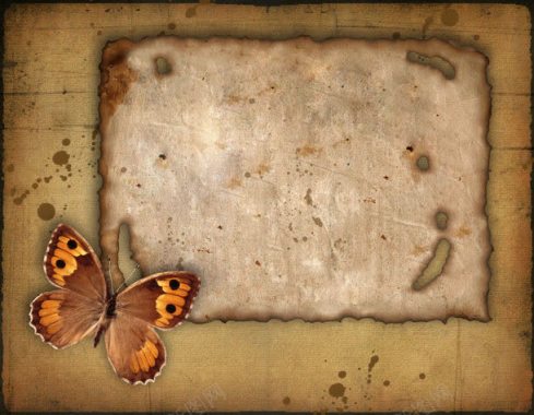 羊皮纸背景与蝴蝶背景