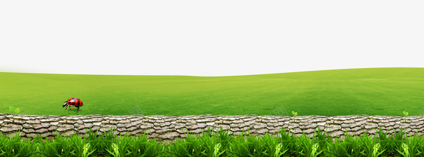 绿色草地树干装饰边框背景