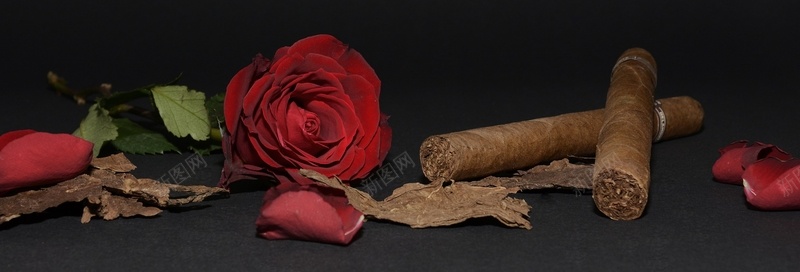 玫瑰与雪茄背景