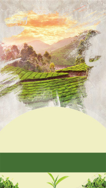 茶叶广告自然ps分层H5背景摄影图片