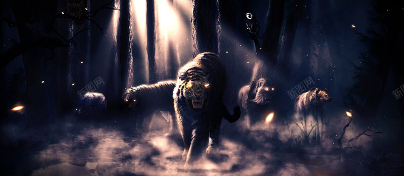 炫酷动物世界狮子出没黑色背景图背景