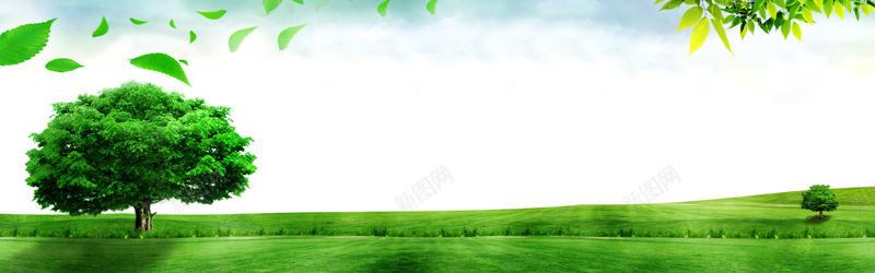 绿色大树风景海报背景