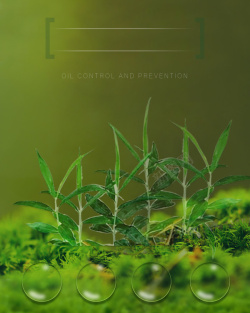 绿色产品介绍绿色天然植物护肤品背景高清图片