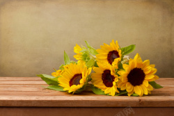 放在桌面上的向日葵花背景