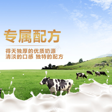 草原牛奶奶牛主图背景