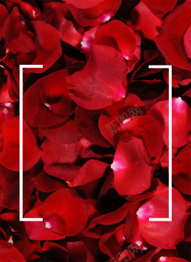三八节玫瑰花瓣商品海报背景背景