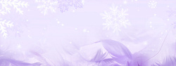 紫色羽绒服冬季雪花羽绒服背景高清图片