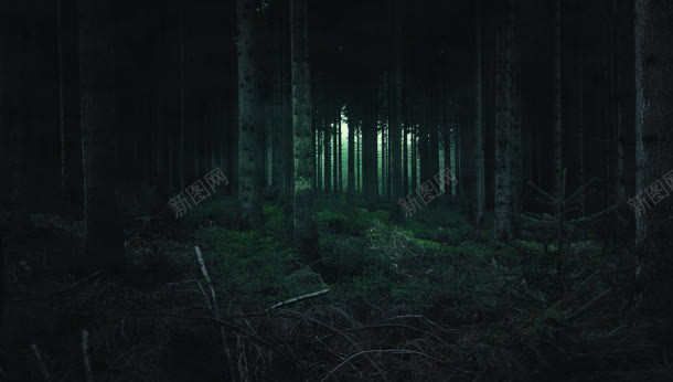 绿色森林阴暗幽静背景