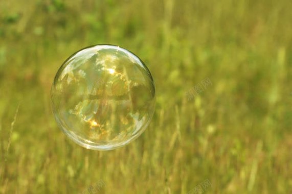 草地上的泡泡特写背景
