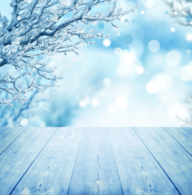 冬日雪景雪花松树背景图背景