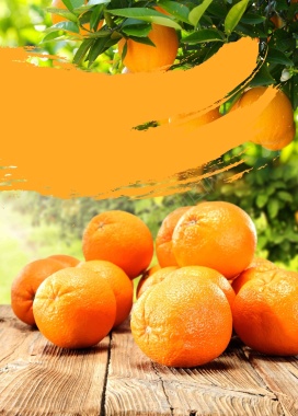新鲜柑橘海报背景模板背景