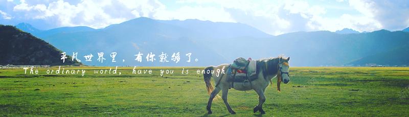 草原上的一匹马海报psd设计背景_88icon https://88icon.com 中国新疆 文艺 新疆 海报 海报banner 草原上的一匹马 草地 西藏