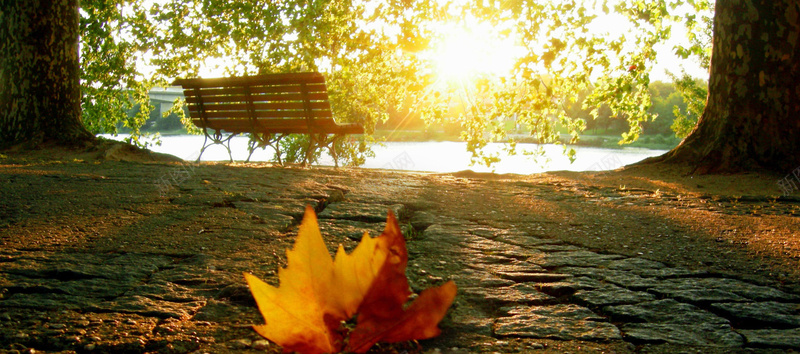 秋季枫叶小路长椅背景摄影图片