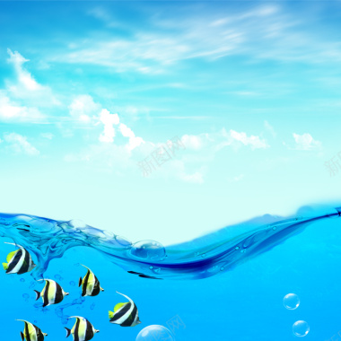 蓝色大海热带鱼化妆品PSD分层主图背景背景