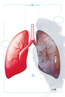 关注肺健康公益背景模板背景