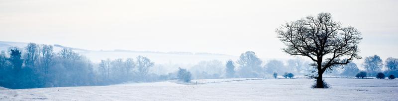 冬天雪景banner创意jpg设计背景_88icon https://88icon.com 其他 冬天雪景banner创意设计免费下载积雪 天空 山峰 树木 海报banner 积雪 路