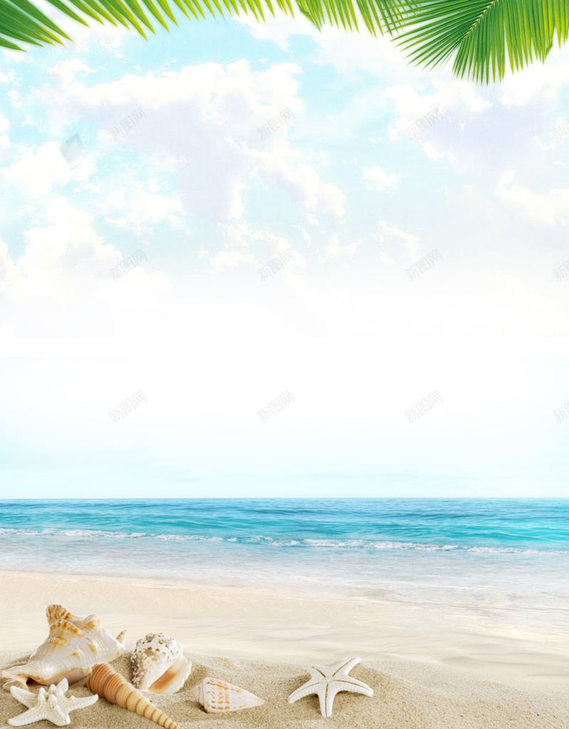 夏令营海滩度假宣传海报背景模板psd设计背景_88icon https://88icon.com 夏令营 大海 宣传海报 度假 椰树 沙滩 海星 海滩 背景模板