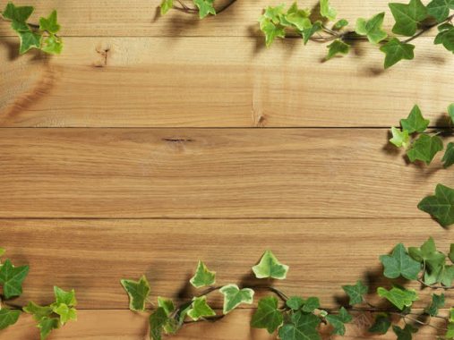 木板上的绿叶背景