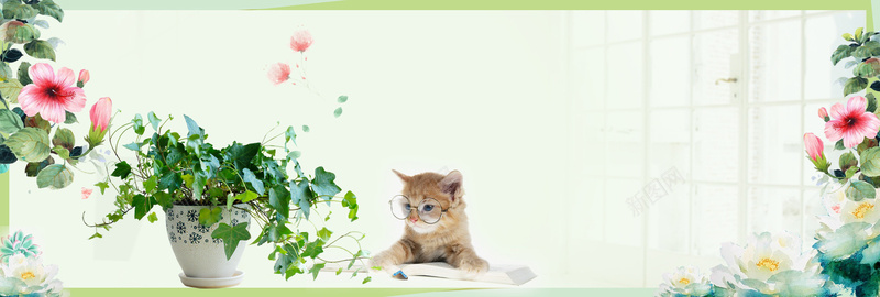 绿色小清新桌面宠物猫咪绿植banner背景