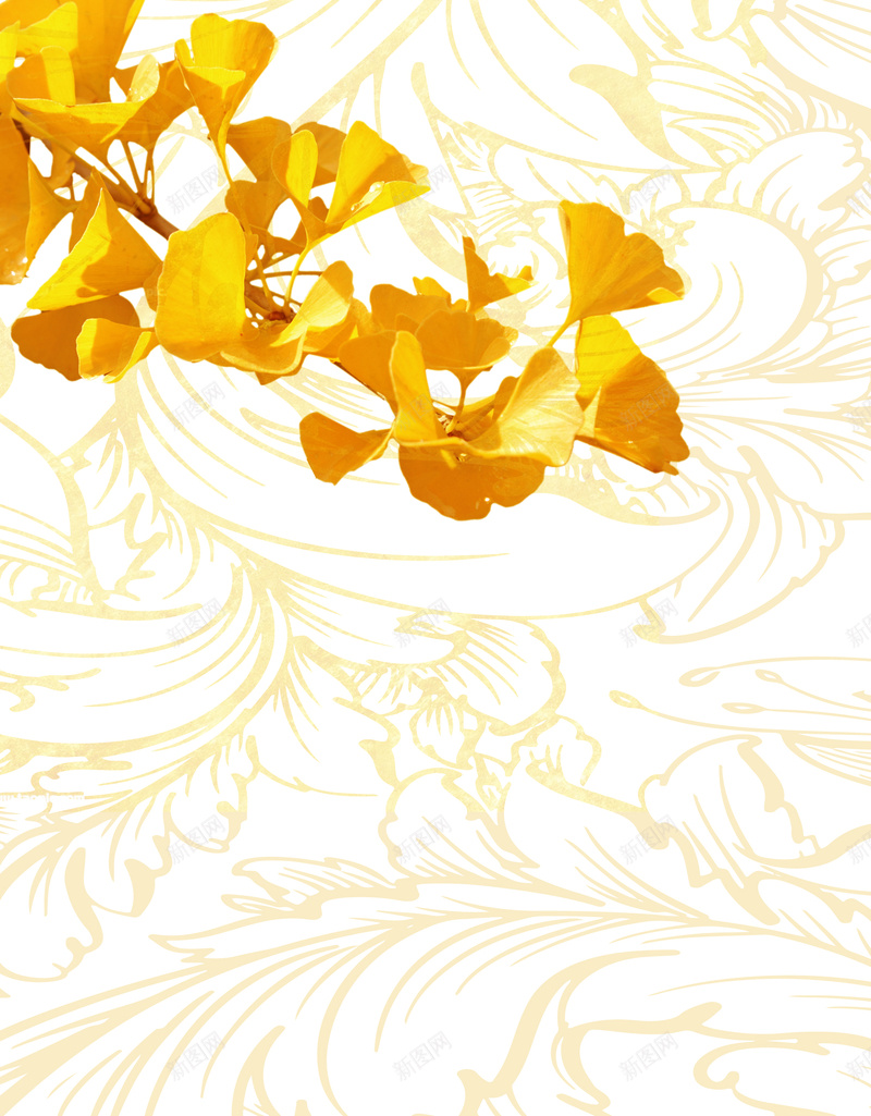 金色花纹银杏海报背景psd设计背景_88icon https://88icon.com 大气 海报 清新 简约 纹理 背景 花纹 金色 银杏