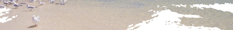创意简约澳洲旅游海报背景psd设计背景_88icon https://88icon.com 2017 展架 旅游 易拉宝 海报 海边 淘宝促销海报 澳大利亚 澳洲 石阵 经典 蓝色 西澳 飞机