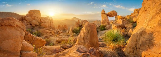 金色沙漠干枯岩石背景