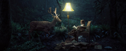 小女孩与鹿梦幻森林背景高清图片