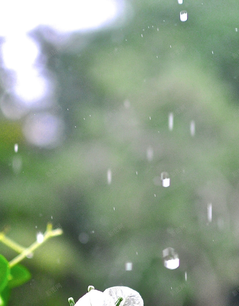 梅雨时节下雨天清新H5背景psd设计背景_88icon https://88icon.com 下雨 下雨天 夏雨 宣传 微信 微博 文艺 梅雨 梅雨时节 清新 简约 绿色 配图 雨季 雨水