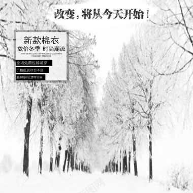 冬季雪景摄影图片