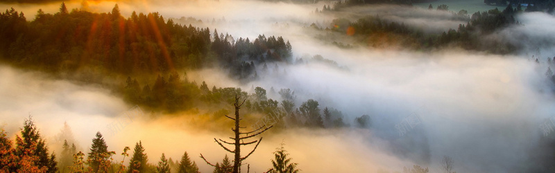 云雾缭绕的山林背景