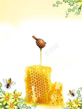 黄色蜂巢蜂蜜蜜蜂花朵采蜜背景背景