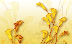 黄色大气标题免费下载黄色花朵纹理背景图高清图片