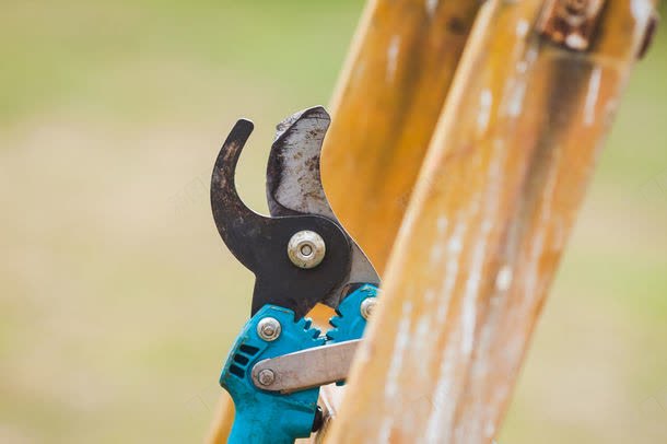 梯子上的钳子jpg设计背景_88icon https://88icon.com 其它类别 图片素材 梯子 梯子上的钳子图片 梯子上的钳子图片素材下载 生活用品 生活百科 背景花边 蓝色 钳子