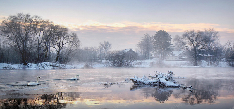 自然冬季湖泊背景jpg_88icon https://88icon.com 冬季 唯美 摄影 树 清新 湖泊 自然 雪景 风景 鸭子