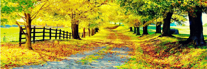 户外唯美风景摄影图片