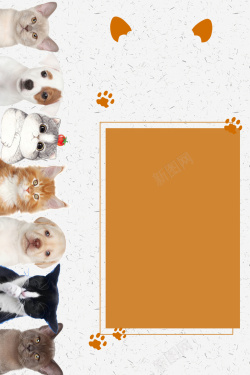 猫狗海报可爱宠物猫狗海报高清图片
