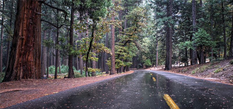 雨后的道路背景摄影图片