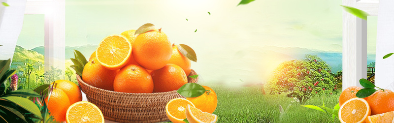 美味橙子促销季景色banner背景