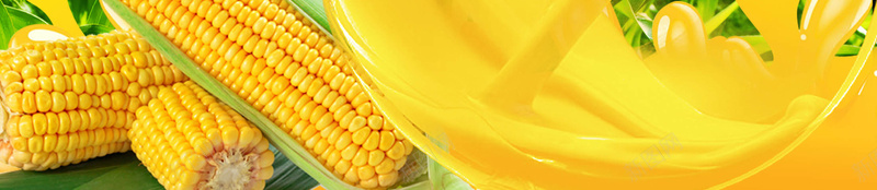 玉米农作物背景psd设计背景_88icon https://88icon.com PPT PSD 免费 农作物 广告 海报 玉米 素材 背景 黄色
