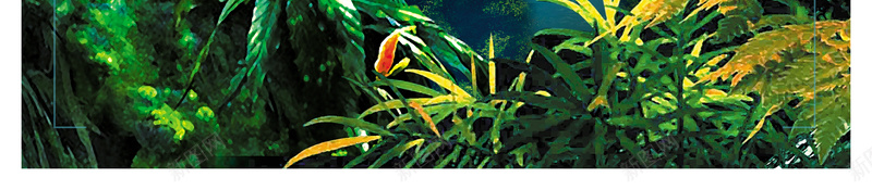 热带雨林海报背景psd设计背景_88icon https://88icon.com 刺激 娱乐 宣传 海报 游乐园 热带 背景 雨林